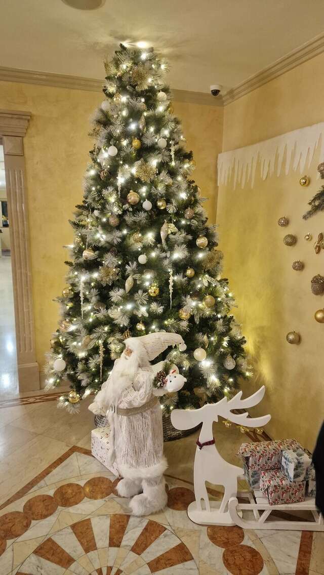 Гостиница Корона Казань-32